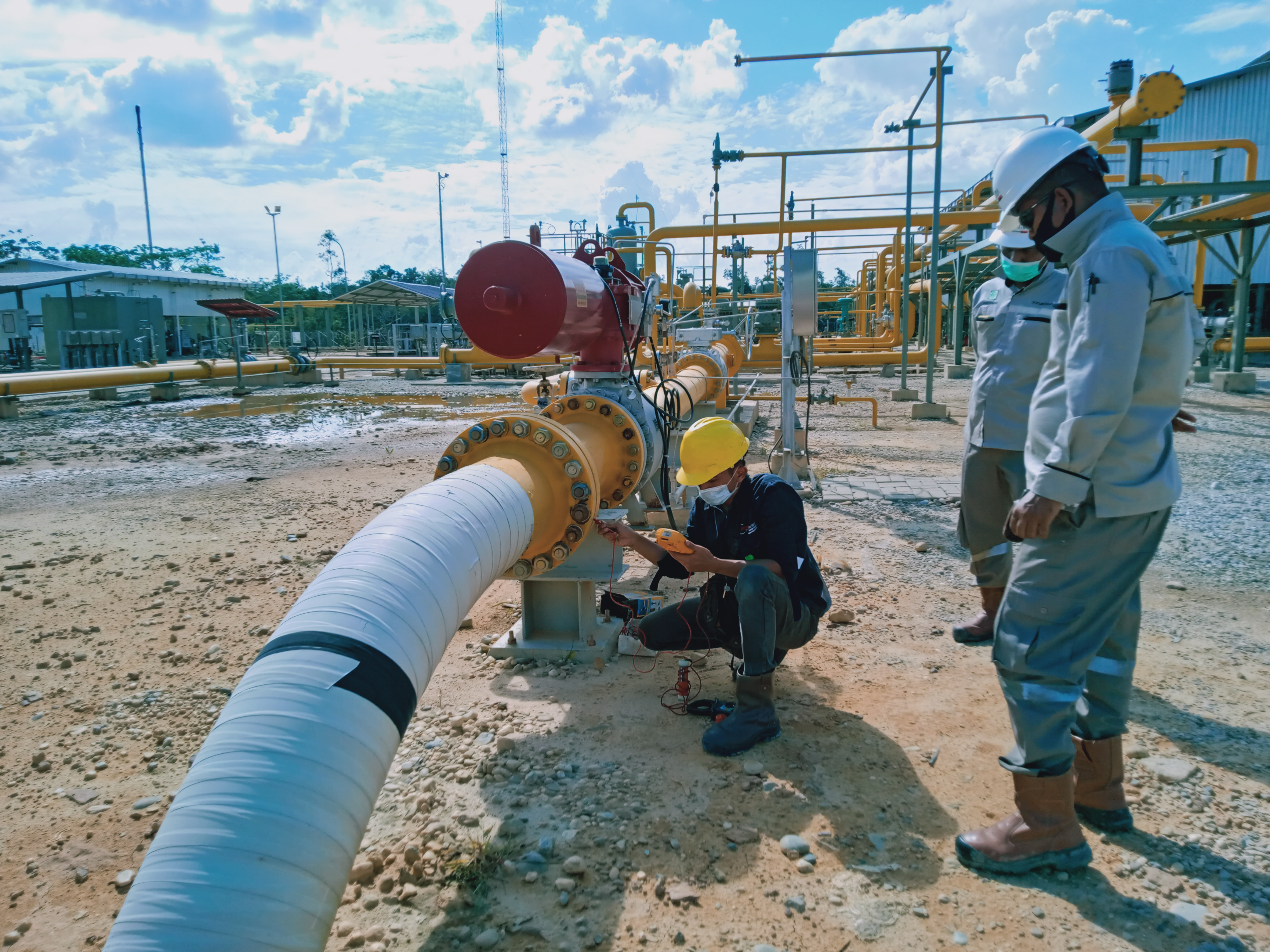 Field Survey, Assessment, and Maintenance