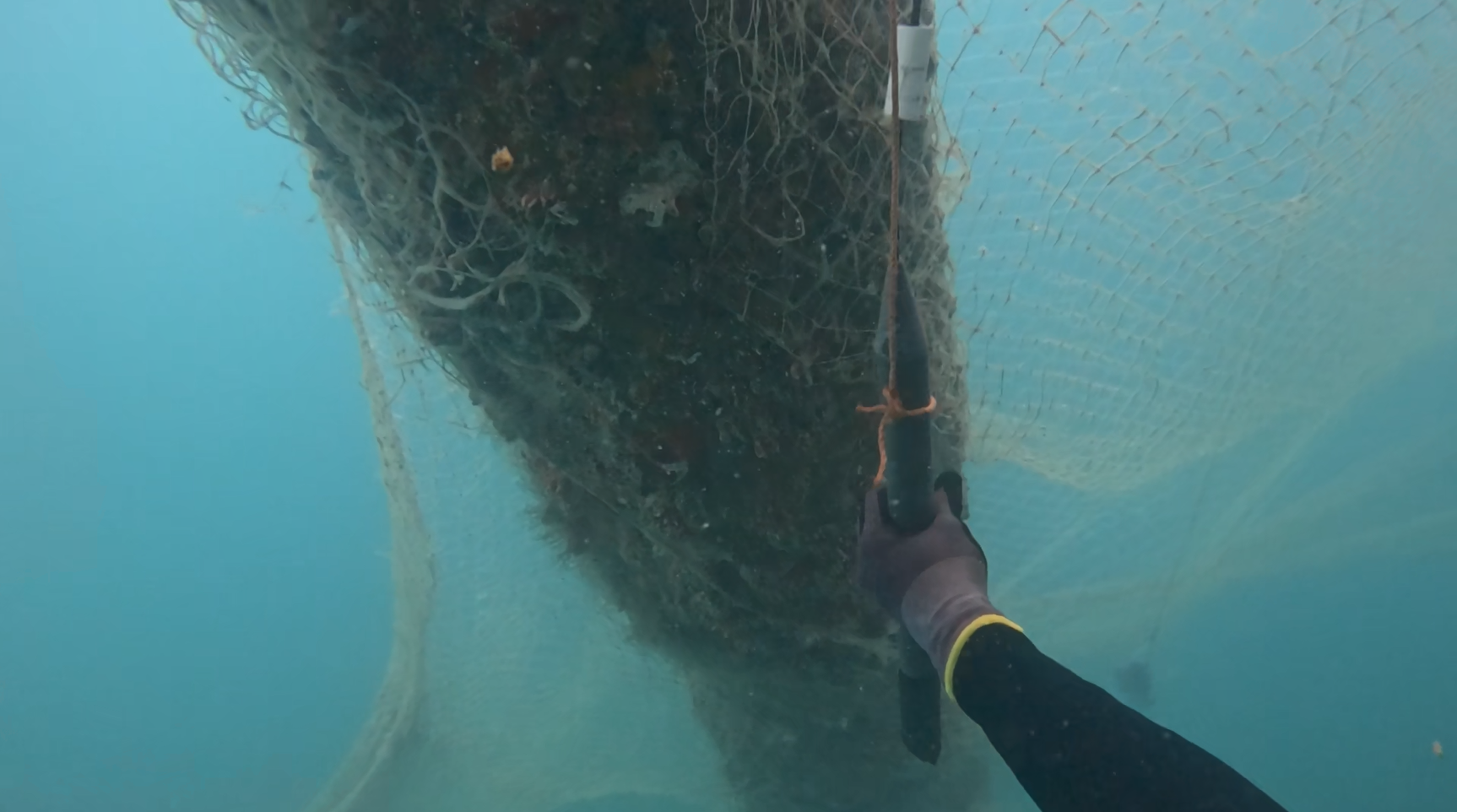 CP Offshore Survey
